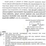 whatsapp image 2025 07 05 at 10.35.02 pm